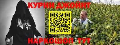 дмт Обь