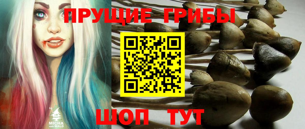 Псилоцибиновые грибы Magic Shrooms Семёнов