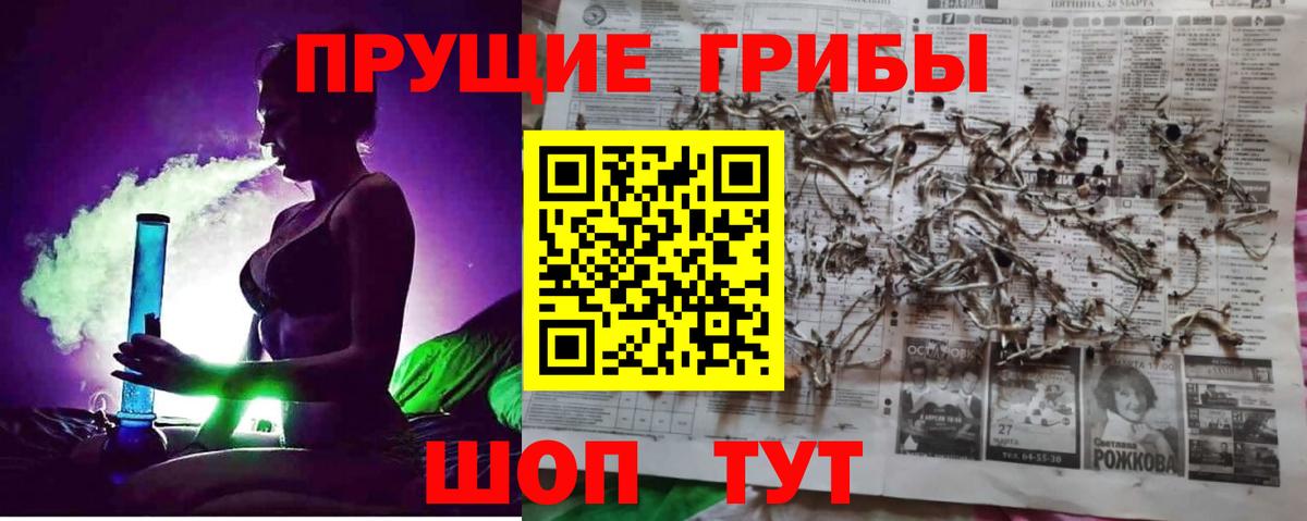купить   Галлюциногенные грибы прущие грибы  Вход с VPN  Семёнов 